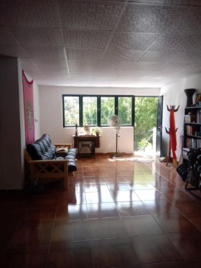 Amplio monoambiente